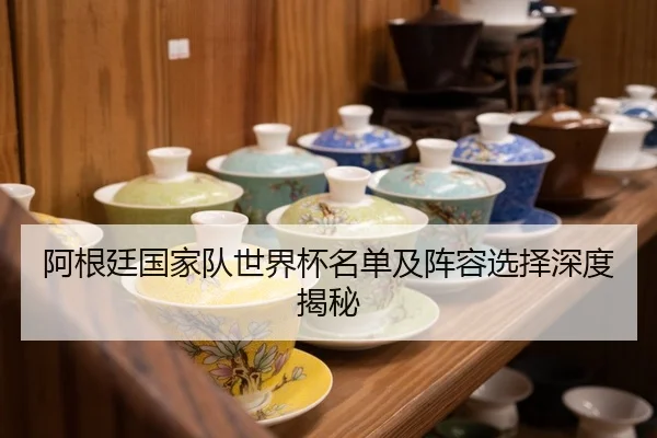 阿根廷国家队世界杯名单及阵容选择深度揭秘